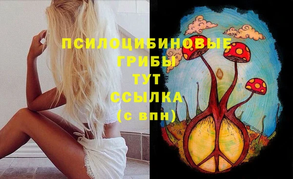 твердый Абинск