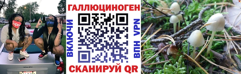 наркошоп  Петров Вал  Галлюциногенные грибы Magic Shrooms 