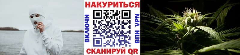 купить наркотики цена  Петров Вал  Каннабис Bruce Banner 